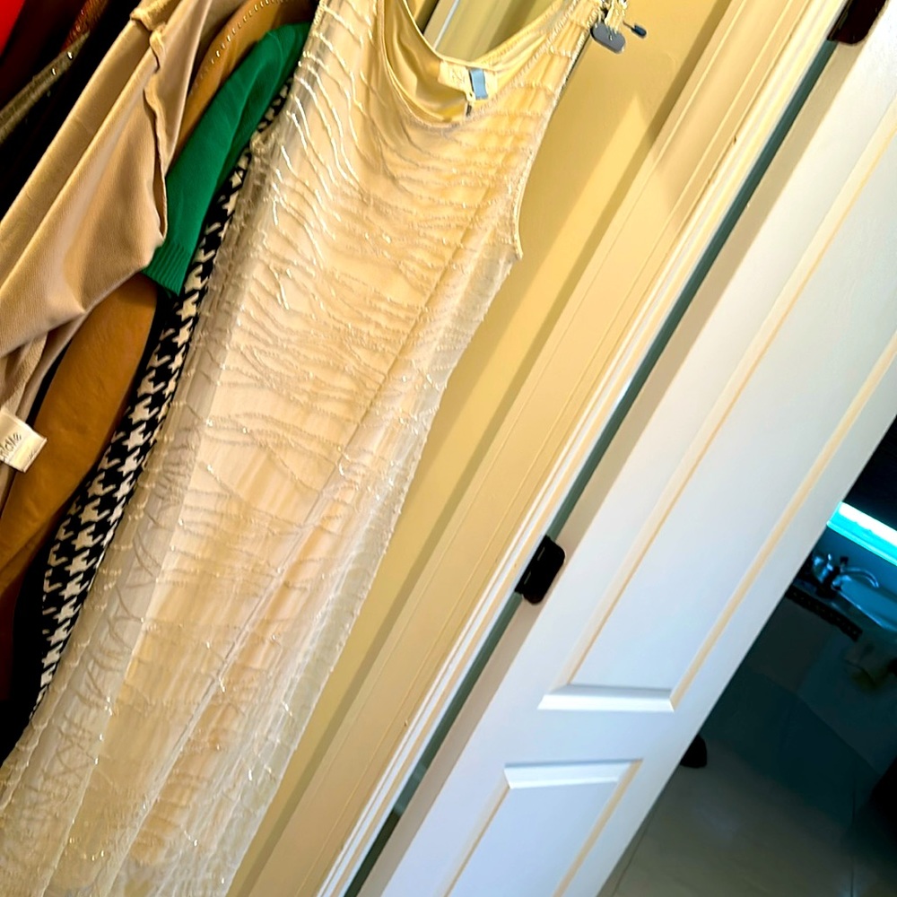 Dressy elegant dry cleaned